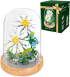 Daisy Flowers