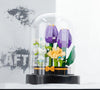 PURPLE TULIPS